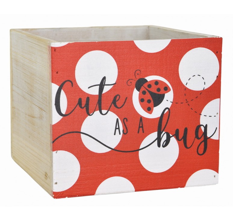 Wooden Cube - Cute as a Bug