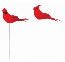 Cardinal Pick