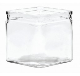 4" Machine Glass Cube