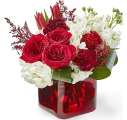 Glass Cube - Red  