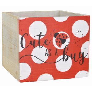 Wooden Cube - Cute as a Bug