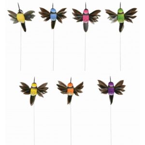 Hummingbird Pick