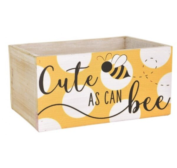 Rectangular Wooden Container "Cute As Can bee"