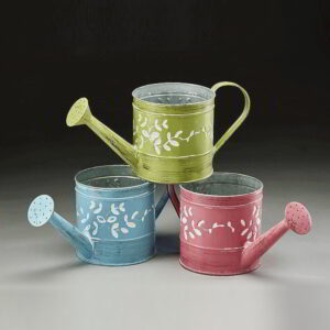 Assorted Color Metal Watering Cans
