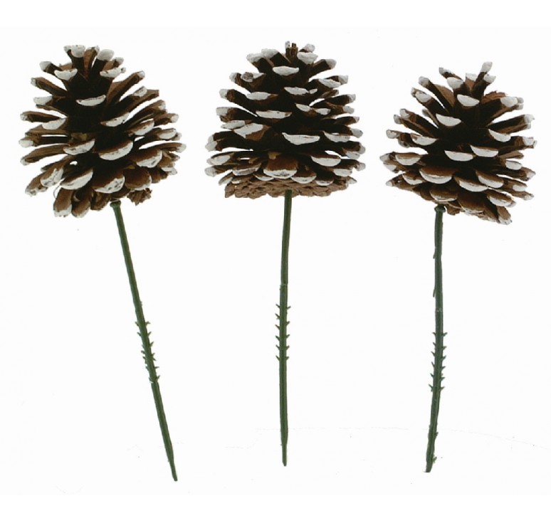 White Tip Pinecone Pick - Case of 100 pcs