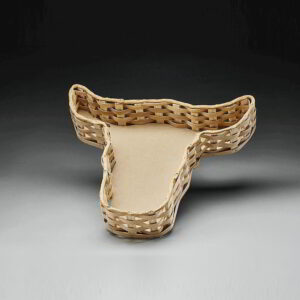 Steer Head Packaging Tray