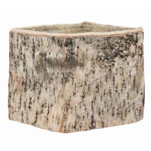5.25" Square Wooden Container
