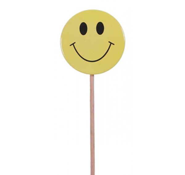 Smiley Face Pick
