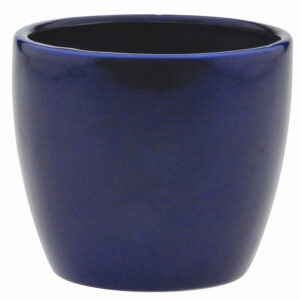 Blue Ceramic Container